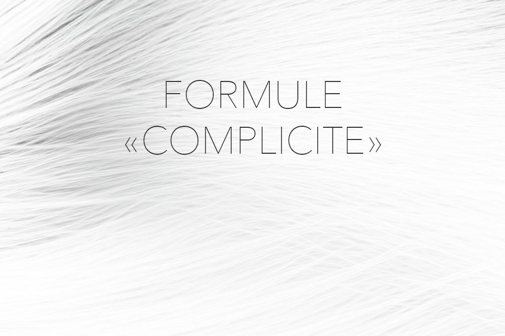 Formule complicite photographe annecy haute savoie mariage photo image illustration